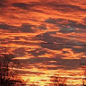 Meet your Posher, Dreezy